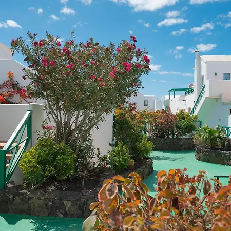 Celeste * Costa Teguise